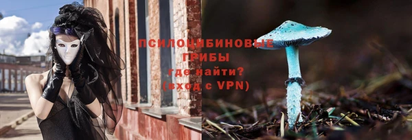 мдпв Касимов