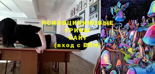 мдпв Касимов
