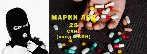 мдпв Касимов