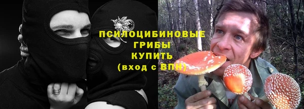мдпв Касимов